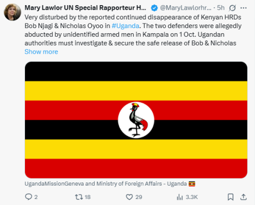 Statement of Mary Lawlor condemning the abduction of Bob Njagi and Nicholas Oyoo on Friday, October 10, 2025. PHOTO/Screen grab by People Daily Digital/@MaryLawlorhrds/X