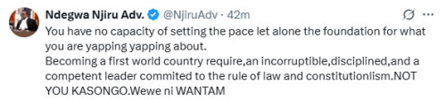Statement of Advocate Ndegwa Njiru telling off President Willliam Ruto on making Kenya a first-word country on Monday, October 13, 2025. PHOTO/Screen grab by People Daily Digital/@NjiruAdv