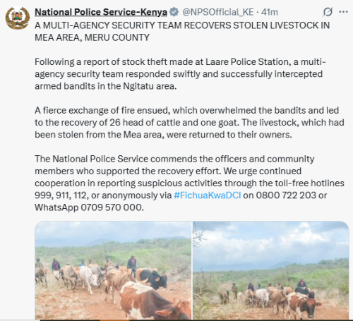 Security agencies recovered stolen livestock in Meru on Friday, October 31, 2025. PHOTO/Screengrab by People Daily Digital/@NPSofficial_KE