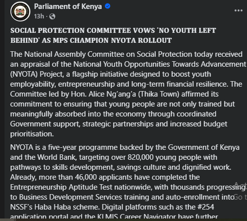Parliament statement on NYOTA project rolled out on Friday, October 3, 2025. PHOT/Screen grab by People Daily Digital/The Parliament of Kenya