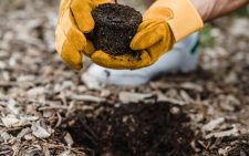 Beyond tree planting: Fun ways to honour Mazingira Day this weekend