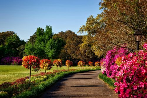 Finding peace in the quiet beauty of nature. Photo for illustration. PHOTO/Pexels