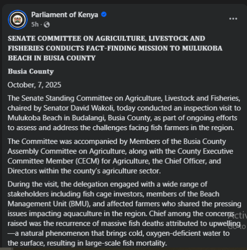 Statement of the Senate on the agricultural fact-finding mission in Busia released on Wednesday, October 8, 2025. PHOTO/The Parliament of Kenya