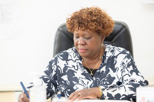 Lands, Public Works, Housing & Urban Development CS Alice Wahome during a past event: PHOTO/@WahomeHon/X