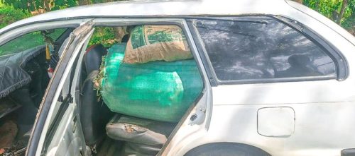 Sacks of cannabis and a vehicle seized by police in Kendu Bay raid. PHOTO/@NPSOfficial_KE/X