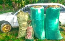 Police seize 4kg of cannabis, arrest persons of interest in Homa Bay raid