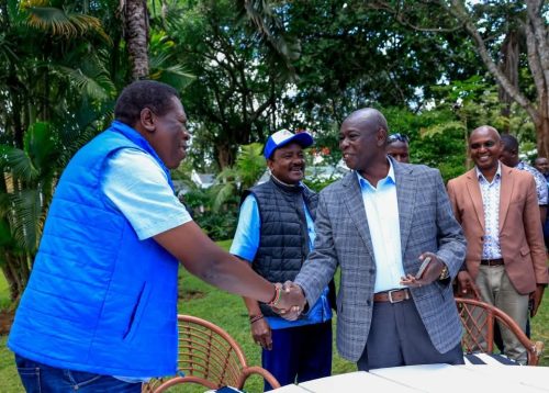 United Opposition leaders in Embu. PHOTO/@EugeneLWamalwa/X
