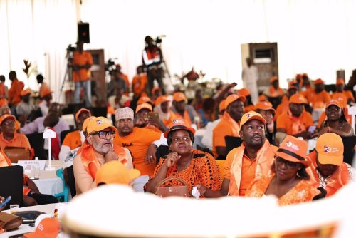 ODM Party delegate during the ODM at 20 celebrations. PHOTO/@TheODMparty/x