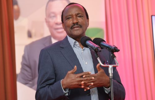 Wiper Patriotic Front (WPF) leader Kalonzo Musyoka during a past event: PHOTO/facebook.com/kalonzomusyoka
