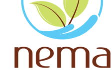 NEMA arrests 13 traders in Kitui over lack of environmental