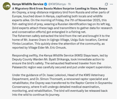 X post by KWS. PHOTO/Screengrab by People Daily Digital