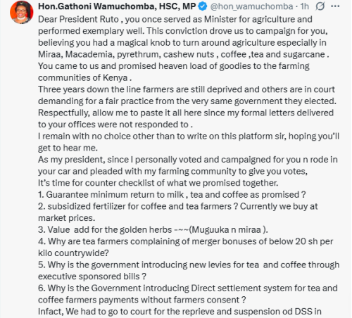X post by Gathoni Wamuchomba. PHOTO/Screengrab by People Daily Digital