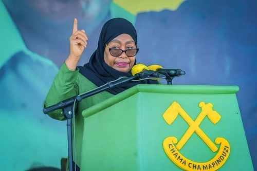 Tanzania President Samia Suluhu during a past function: PHOTO/@SuluhuSamia/X
