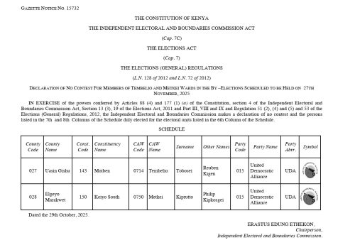 A gazette notice by the IEBC. PHOTO/Screengrab by PD Digital