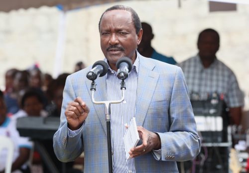 Wiper Patriotic Front Party leader Kalonzo Musyoka during a past event: PHOTO/@skmusyoka/X