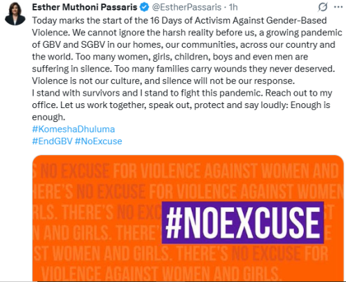 Esther Passaris campaigning against Gender-Based Violence. PHOTO/Screengrab by People Daily Digital/@EstherPassaris/X