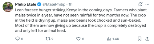 Philip Etale's hunger prediction due to dryness on Sunday, November 30, 2025. PHOTO/Screengrab by People Daily Digital/@EtalePhilip/X