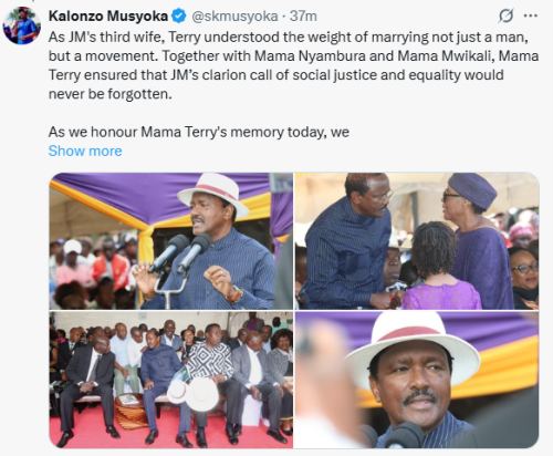 Kalonzo Musyoka Speaking during JM Kariuki's third wife, Terry Wanjiru's burial in Ol’ Kalau, Nakuru on Tuesday, November 11, 2025. PHOTO/@skmusyoka/X