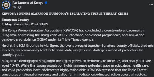 Statement of The Kenya Women Senators Association (KEWOSA) on the HIV/AIDS and GBV cases in Bungoma county. PHOTO/Screengrab by People Daily Digital/ The Parliament of Kenya