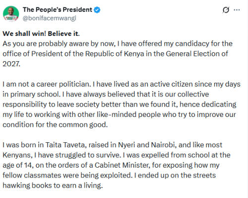 Boniface Mwangi's statement on nationwide tours and financial assistance. PHOTO/Screengrab by People Daily Digital/@bonifacemwangi