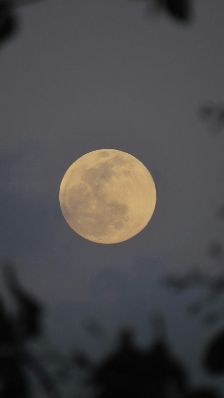 Image illustrations of a Beaver Moon PHOTO/Pexels