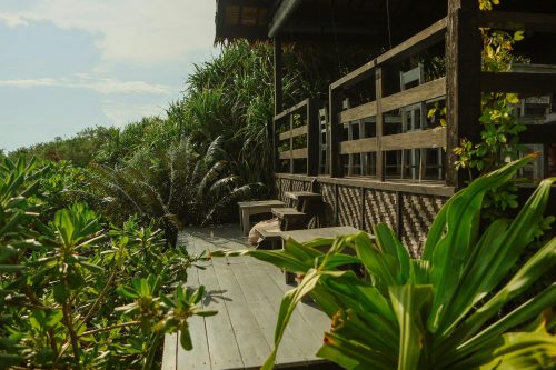 Eco‐friendly garden. Image used for illustration purposes. PHOTO/ Pexels