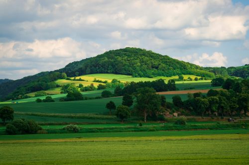 Vibrant green countryside landscape. Image used for illustration purposes. PHOTO/ Pexels