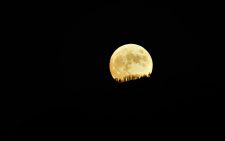 Beaver Supermoon 2025: When and how to get the best view on Wednesday, November 5