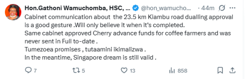 Statement of MP Gathoni Wamuchomba on the expansion of Kiambu Road. PHOTO/Screengrab by People Daily Digital/@hon_wamuchomba/X