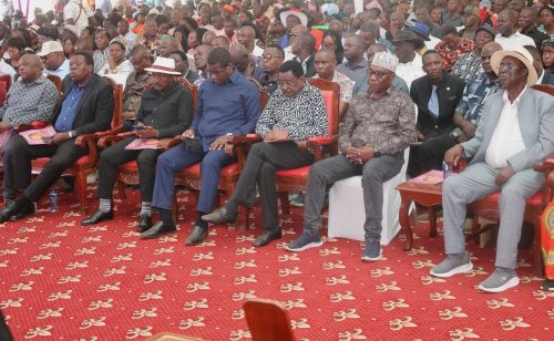 Kalonzo Musyoka and other leaders during the burial of Beryl Odinga in Bondo. PHOTO/https://www.facebook.com/Kalonzo Musyoka