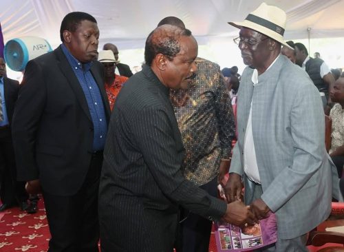 Wamalwa and Kalonzo greet Oburu Odinga during Beryl’s burial. PHOTO/https://www.facebook.com/Eugene L Wamalwa Egh