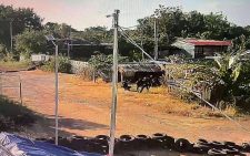 Cambodia accuses Thailand of launching strikes during border peace talks