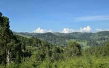 Waters of life: How Elgeyo Marakwet’s indigenous communities are saving their forests to save furrows