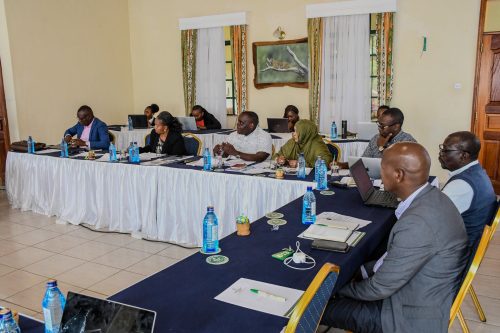 ODM member during a meeting providing insights on the implementation process of the 10-Point Agenda. PHOTO/@TheODMparty/X