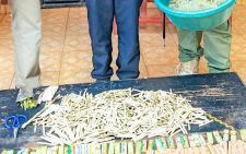 Police seize over 1,500 bhang rolls in Kiambu after tip-off from the public