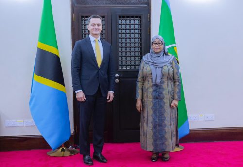 President Samia Suluhu Hassan met Acting US Ambassador to Tanzania, Andrew Lentz, at Chamwino State House. PHOTO/@ikulumawasliano/X