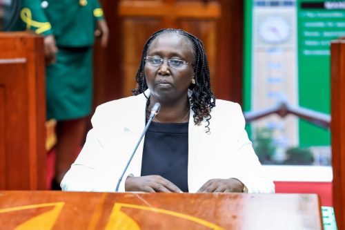 Gender and Culture Cabinet Secretary Hannah Wendot during a past event. PHOTO/@KIMANIICHUNGWAH/X