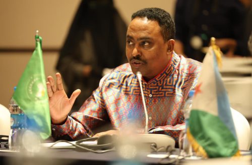 Executive Secretary of IGAD Workneh Gebeyehu during a past event: PHOTO/@DrWorkneh/X