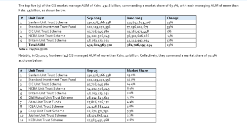 Part of the CIS report. PHOTO/Screengrab by People Daily Digital