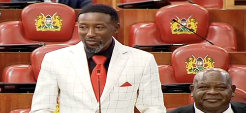 Mbeere North MP Leo Wa Muthende Njeru. PHOTO/A screengrab by PD Digital