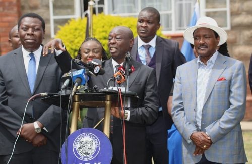 United Opposition leaders during a past event: PHOTO/facebook.com/kalonzomusyoka