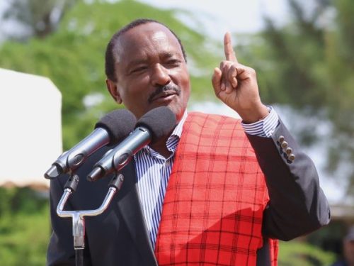 Wiper Patriotic Front leader Kalonzo Musyoka during a apst function. PHOTO@skmusyoka/X