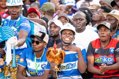 AFC Leopards supporters in a previous fixture. PHOTO/@AFCLeopards/X