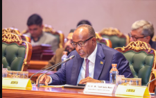 Kenya commits to full implementation of traditional medicine services