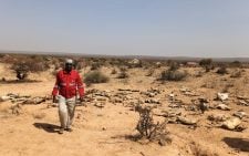 MPs petitioned to approve ksh19.9B for drought amid surging food