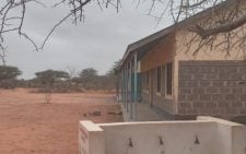 More boys than girls now out of school – survey
