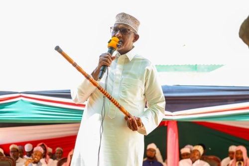 Health CS Aden Duale during a past event. PHOTO/@HonAdenDuale/X