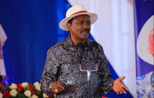 Kalonzo Musyoka in Ngaaie, Mwingi North, while honoring the life of Dorcas Mutindi Matiki on Friday, January 23, 2026. PHTO/@skmusyoka/XA
