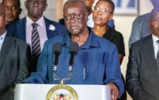 Justina Wamae says ODM being driven into self-destruction
