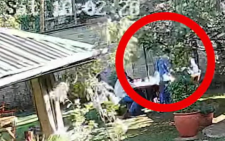 CCTV footage shows how Babu Owino and Alai’s altercation unfolded